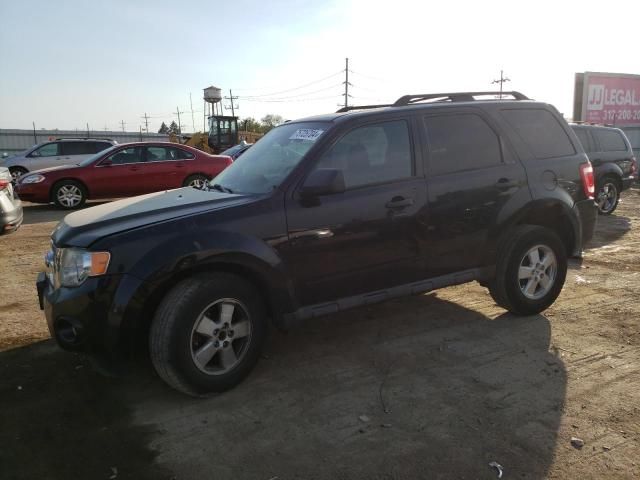 2010 Ford Escape XLT