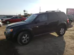 Salvage cars for sale at Chicago Heights, IL auction: 2010 Ford Escape XLT