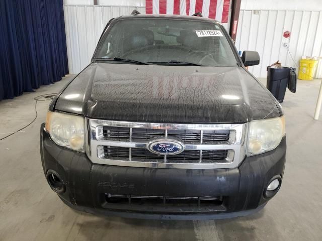 2012 Ford Escape XLT