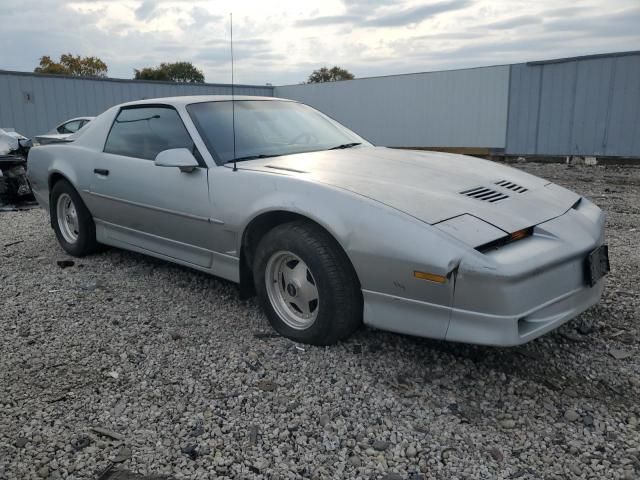 1986 Pontiac Firebird Trans AM