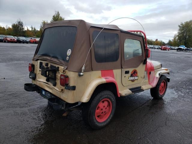 1993 Jeep Wrangler / YJ