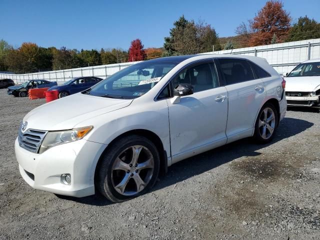 2010 Toyota Venza