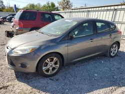 Salvage cars for sale at Walton, KY auction: 2013 Ford Focus SE