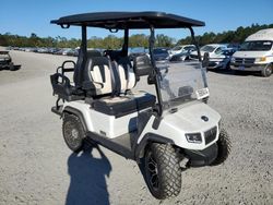 Salvage trucks for sale at Augusta, GA auction: 2024 Evol Golf Cart