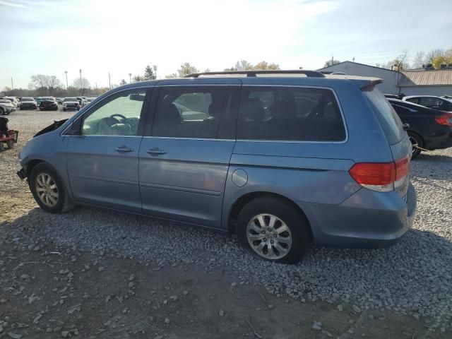 2008 Honda Odyssey EXL