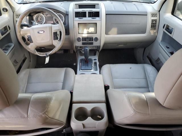 2009 Ford Escape XLT