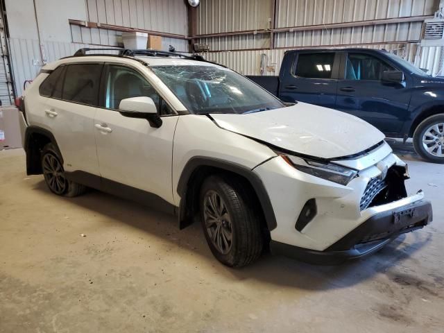 2024 Toyota Rav4 XLE Premium