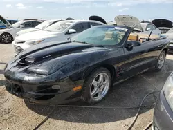 Flood-damaged cars for sale at auction: 2001 Pontiac Firebird Trans AM