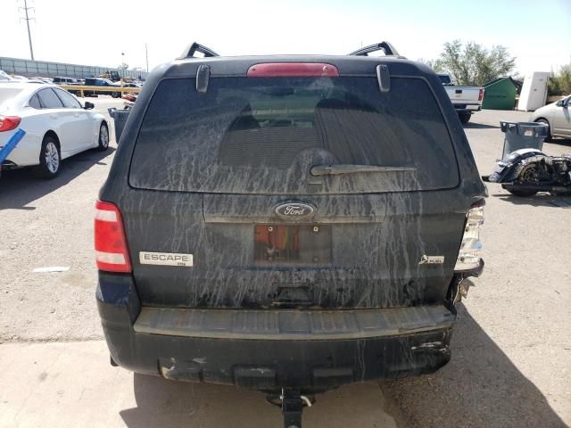 2010 Ford Escape XLT