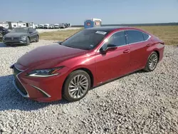 2019 Lexus ES 350 en venta en Taylor, TX