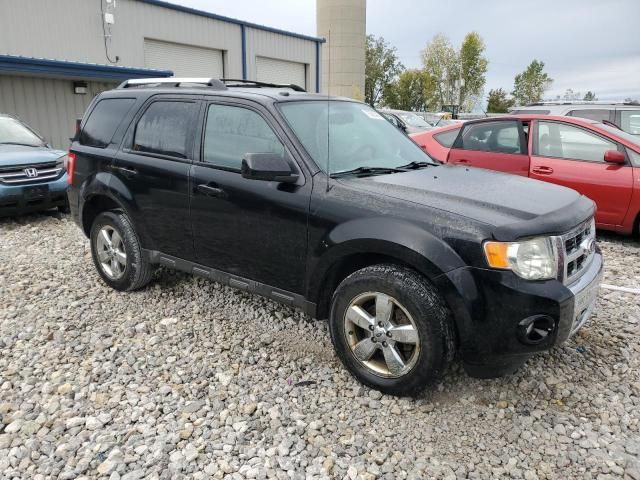 2010 Ford Escape Limited