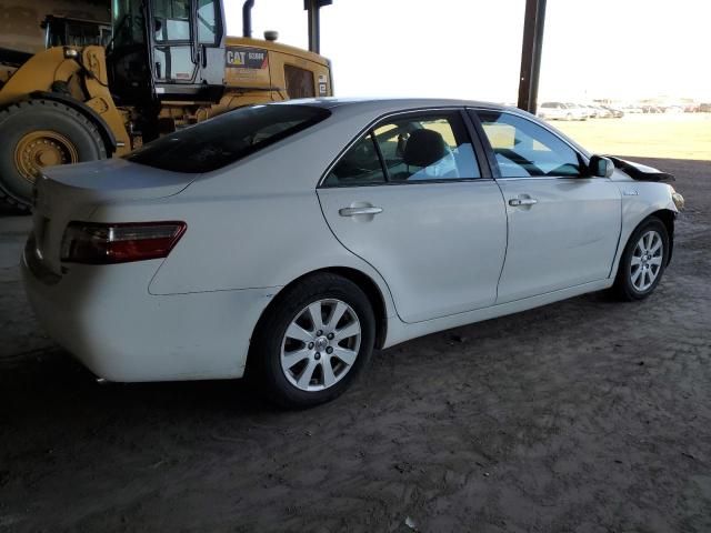 2009 Toyota Camry Hybrid