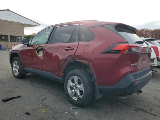 2019 Toyota Rav4 XLE