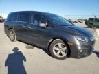 2019 Honda Odyssey EXL