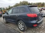 2007 Hyundai Santa FE SE