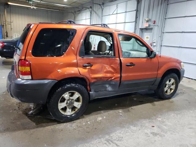 2006 Ford Escape XLT