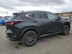 2024 Lexus NX 350 Base