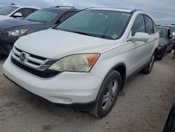 Salvage cars for sale at Riverview, FL auction: 2010 Honda CR-V EXL