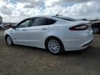 2016 Ford Fusion SE Phev