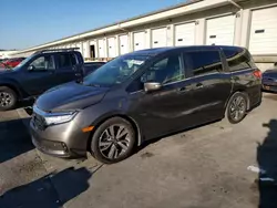 Honda Odyssey Touring Vehiculos salvage en venta: 2022 Honda Odyssey Touring