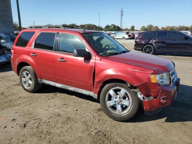 2012 Ford Escape XLT