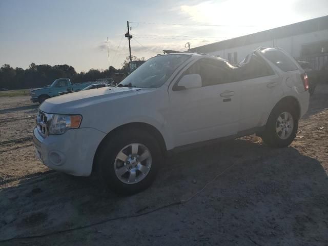 2011 Ford Escape Limited