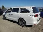 2022 Honda Odyssey EXL