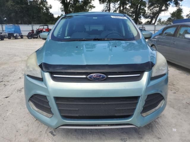 2013 Ford Escape SE