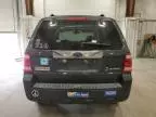 2008 Ford Escape HEV