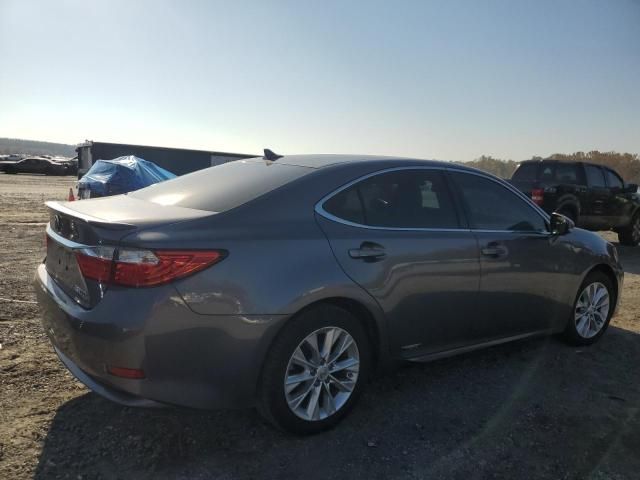 2013 Lexus ES 300H