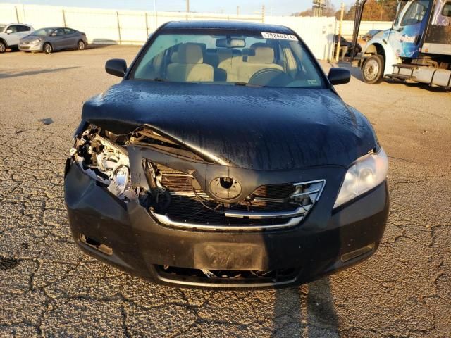 2009 Toyota Camry Hybrid