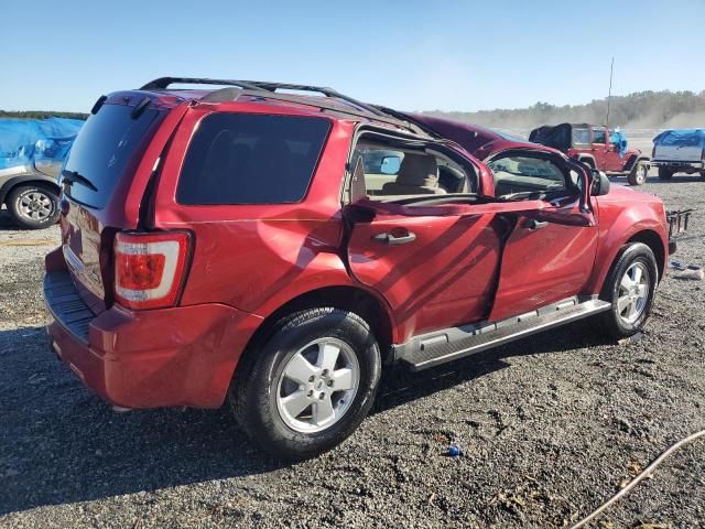 2012 Ford Escape XLT