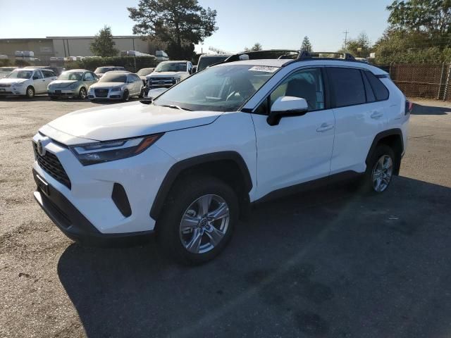 2024 Toyota Rav4 XLE