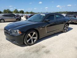 Dodge salvage cars for sale: 2014 Dodge Charger R/T