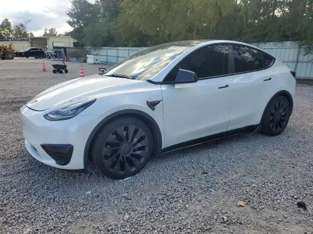 2020 Tesla Model Y