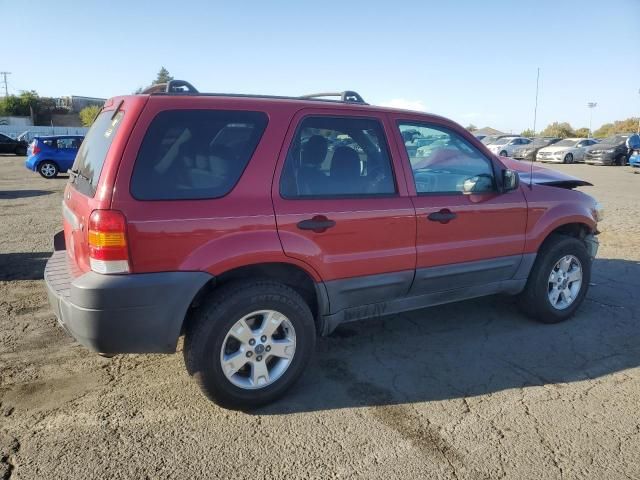 2005 Ford Escape XLT