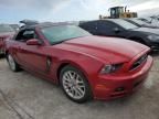 2013 Ford Mustang