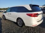 2024 Honda Odyssey EXL