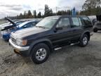 1999 Nissan Pathfinder LE