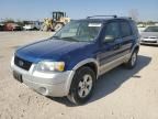 2007 Ford Escape XLT