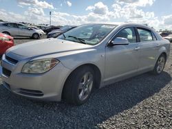 Salvage cars for sale at Riverview, FL auction: 2008 Chevrolet Malibu 1LT