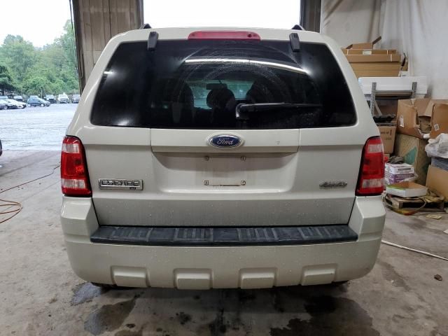 2008 Ford Escape XLT