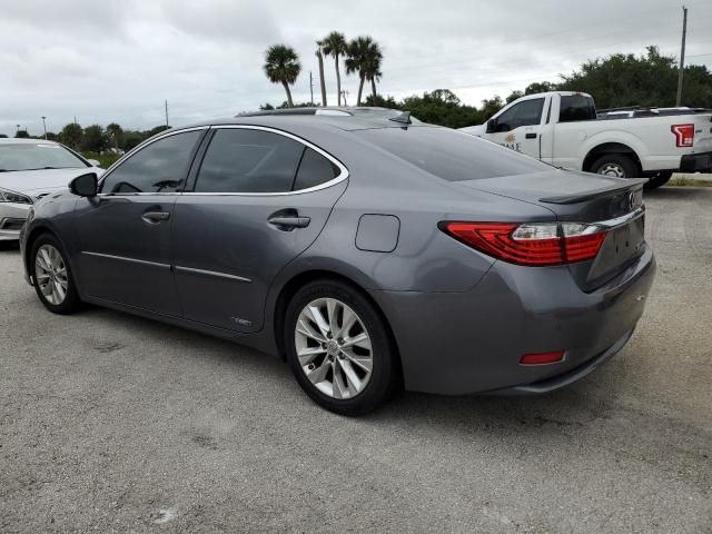 2013 Lexus ES 300H