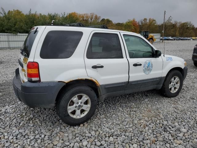 2005 Ford Escape XLT