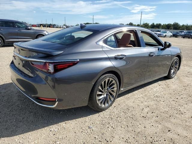 2024 Lexus ES 300H Base