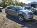 2011 Cadillac SRX Luxury Collection