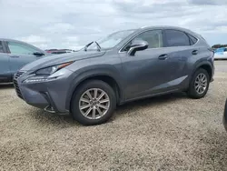 Salvage cars for sale at Riverview, FL auction: 2020 Lexus NX 300