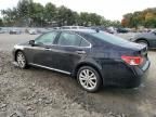 2011 Lexus ES 350