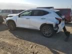 2025 Lexus NX 350 Base