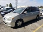 2005 Honda Odyssey EXL